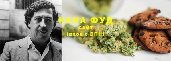 мдпв Магас