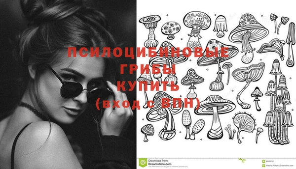 ешки Майский