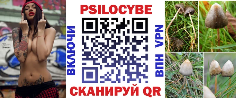 Галлюциногенные грибы мицелий  Купить где  Россошь 